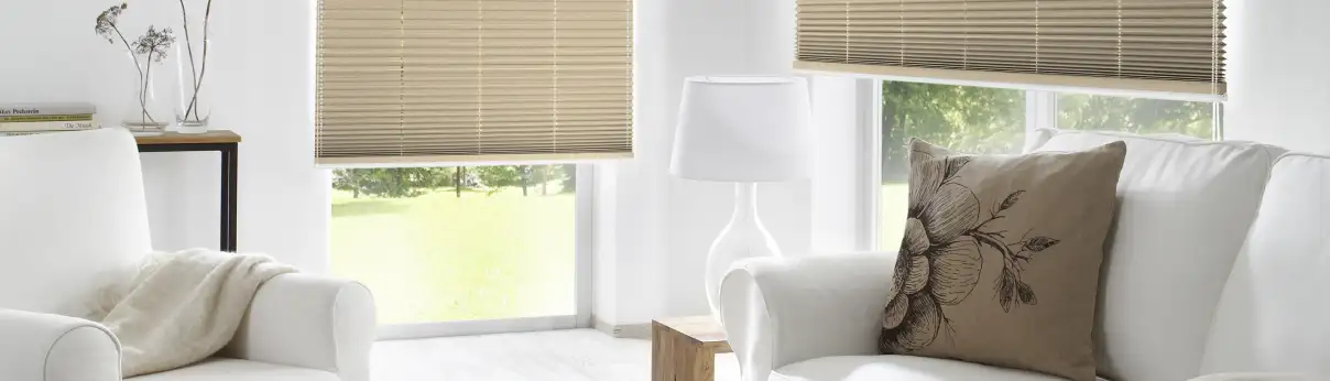Wohnzimmer Plissee