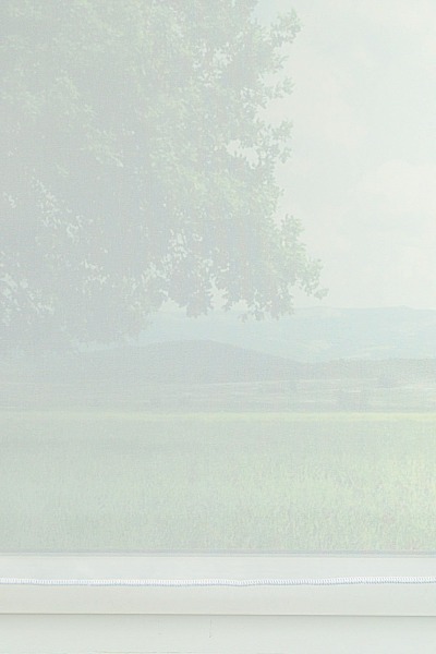 Detailbild