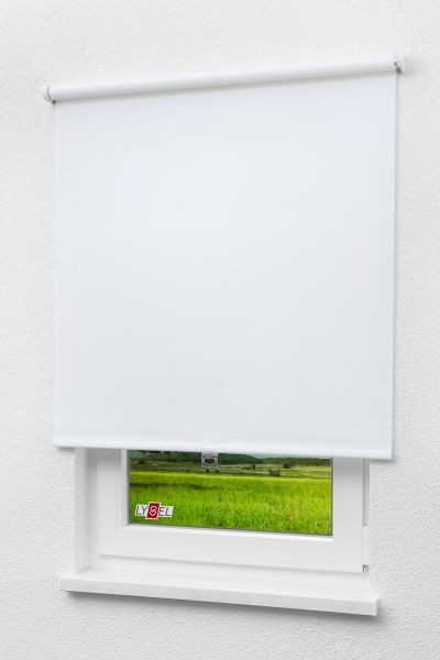 Lysel - Qualitätsspringrollo Tageslicht Weiß