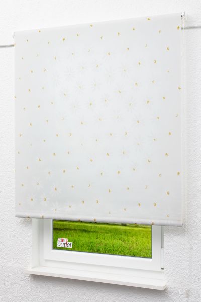 Lysel Outlet - Basisrollo Tageslicht Margeritenblüten