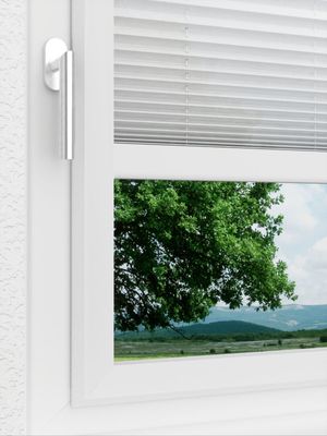Preview LYSEL HOME Plissee 104A Crush 3