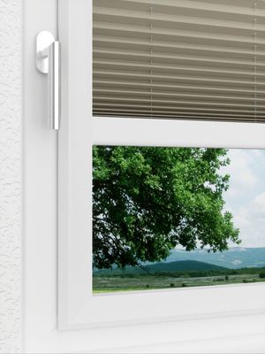 Preview LYSEL HOME Plissee 308A Dorswin 3