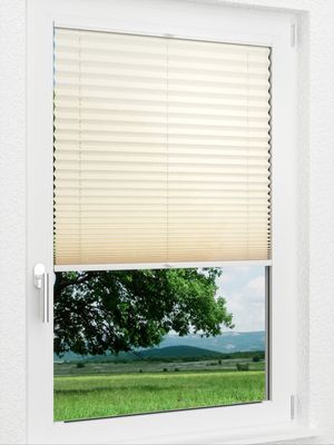 Preview LYSEL HOME Plissee 207A Krepp 1