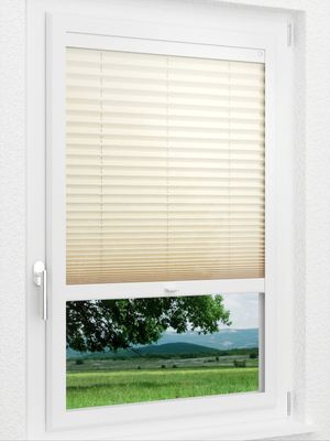 Preview LYSEL HOME Plissee 207A Krepp 1