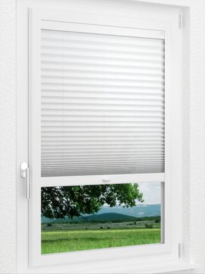 Preview LYSEL HOME Plissee 104A Crush 1
