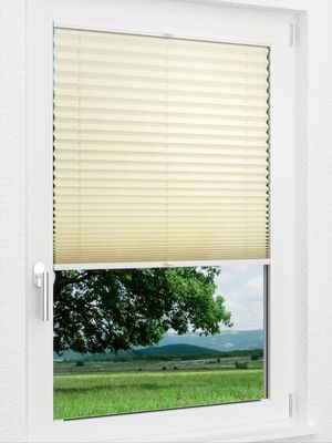 Preview LYSEL HOME Plissee 107A Crush 1