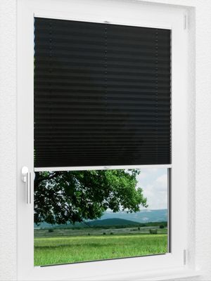 Preview LYSEL HOME Plissee 131A Crush 1