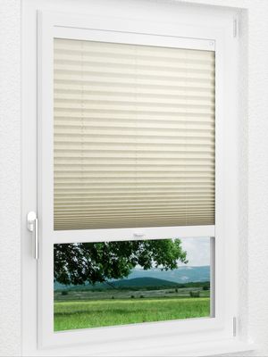 Preview LYSEL HOME Plissee 231A Loso 1