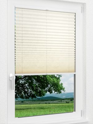 Preview LYSEL HOME Plissee 227A Loso 1