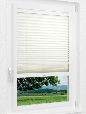 Preview LYSEL HOME Plissee 307A Dorswin 1