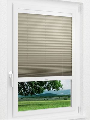 Preview LYSEL HOME Plissee 308A Dorswin 1