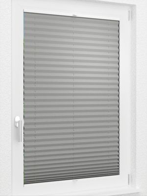 Preview LYSEL HOME Plissee 309A Dorswin 2