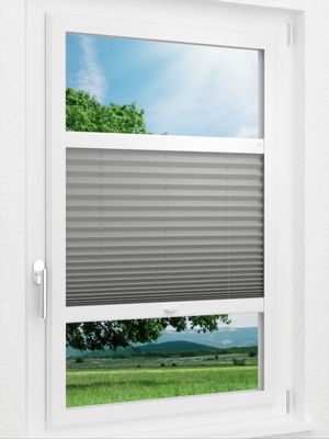 LYSEL HOME Plissee 309A Dorswin Smart Frame Fensteransicht