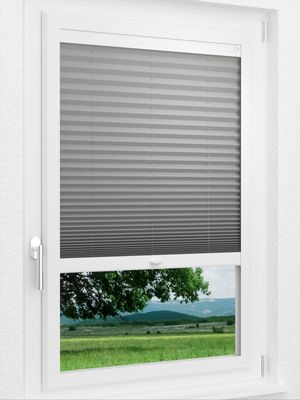 Preview LYSEL HOME Plissee 309A Dorswin 1