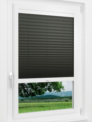 Preview LYSEL HOME Plissee 202B Krepp BO 1