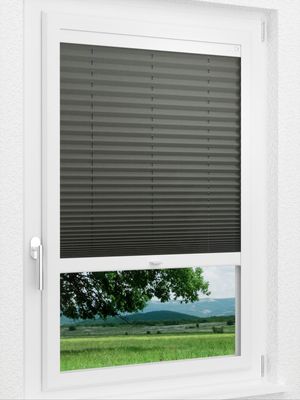 Preview LYSEL HOME Plissee 208B Krepp 1