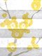 LYSEL HOME Plissee 336A Cetana LYSEL HOME Plissee 336A Cetana
