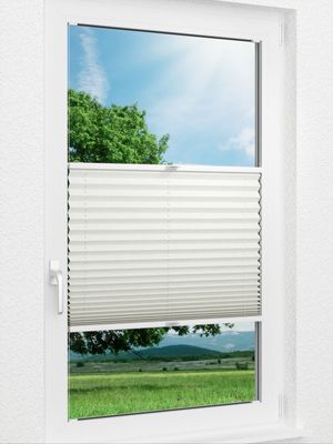 Plissee Crush Perlex 04.03.12 Fensteransicht