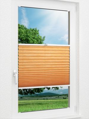 Structure Effective 89.55.12 Fensteransicht