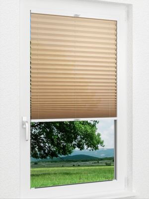 Preview Plissee Gentle 20.06.12 1