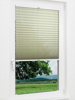 Preview Plissee Gentle 20.07.12 1