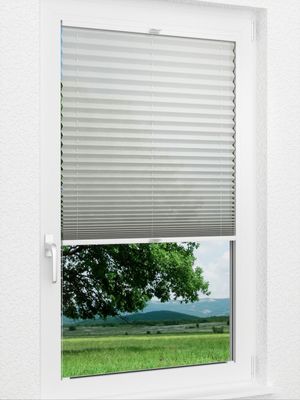 Preview Plissee Gentle 20.04.12 1