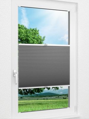 Wabe Milton 36.09.11 Fensteransicht