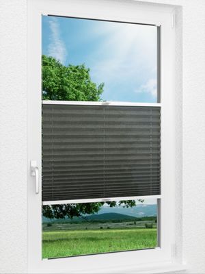 Charm 50.06.13 Fensteransicht