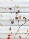 Flowery Crepp 11.582 Flowery Crepp 11.582